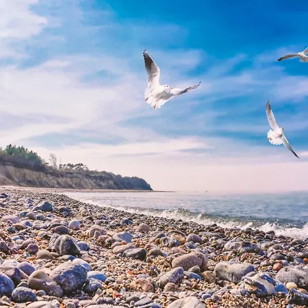 Baumzeltdorf Ostseebreeze Direkt Am Kamp alanı Dranske