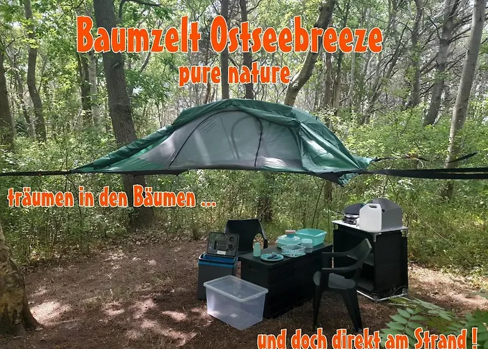 Baumzeltdorf Ostseebreeze Direkt Am Campingplads Dranske