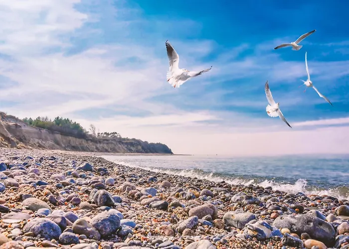 Baumzeltdorf Ostseebreeze Direkt Am Campingplads Dranske